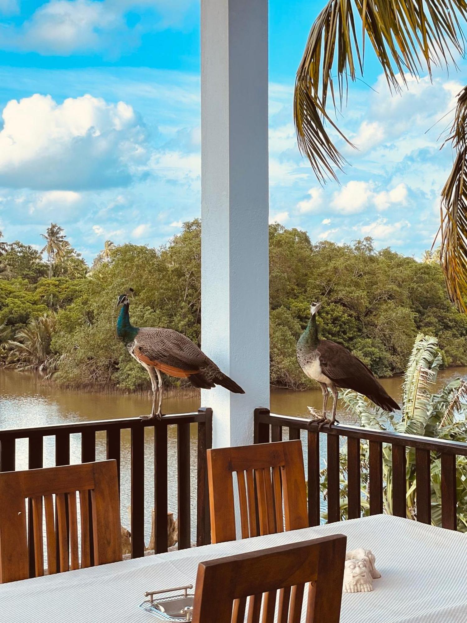 Riverwood Villa Велигама Экстерьер фото